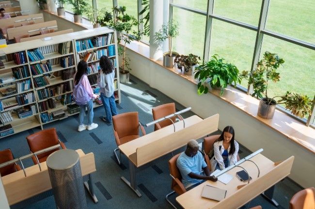 Die 10 besten privaten Universitäten in Deutschland