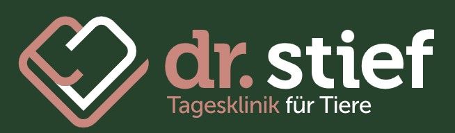 Dr. Stief