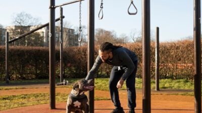 Die 10 besten Hundeschulen in Deutschland
