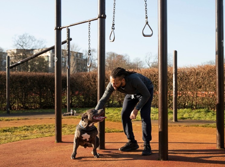 Die 10 besten Hundeschulen in Deutschland