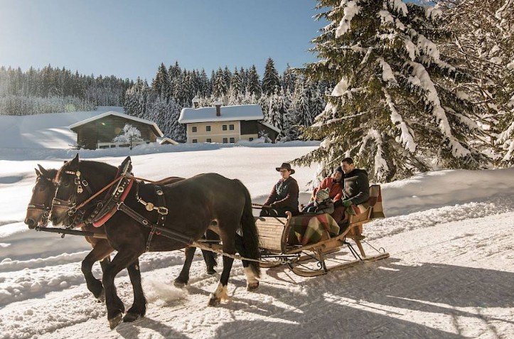 Eine Pferdeschlittenfahrt durch verschneite Landschaften