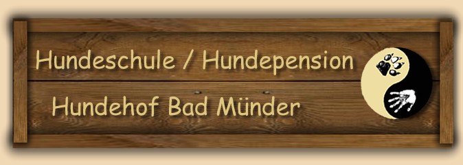 Hundeschule Bad Münder